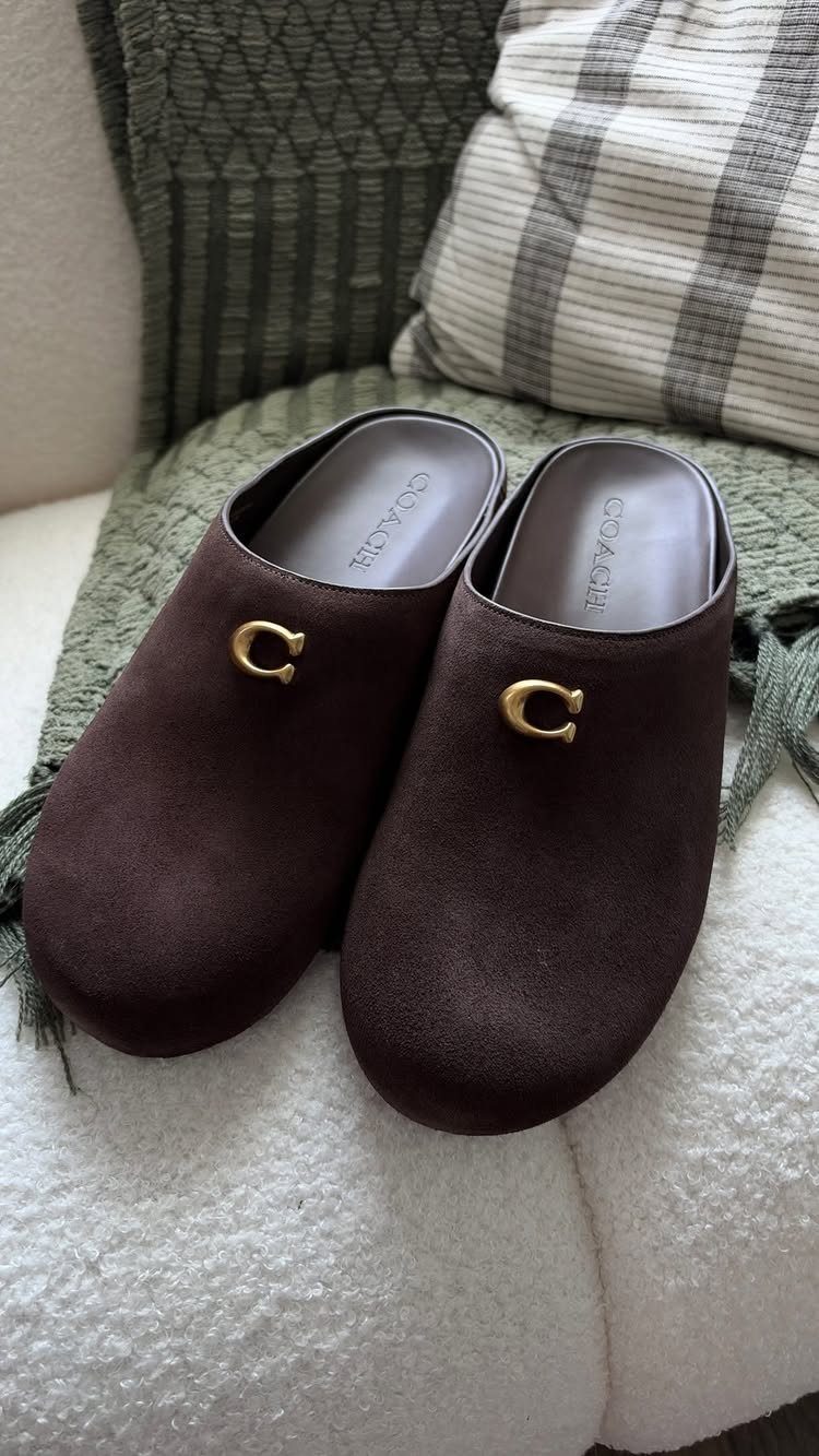 Dark brown suede mule clogs with gold hardware resting on a white textured surface.